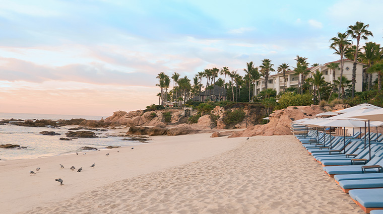 oneonly palmilla los cabos resort new1