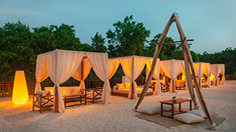 Paradisus Playa del Carmen - Riviera Maya Hotels - Playa del Carmen