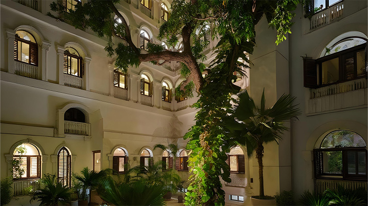 park hyatt zanzibar mango tree