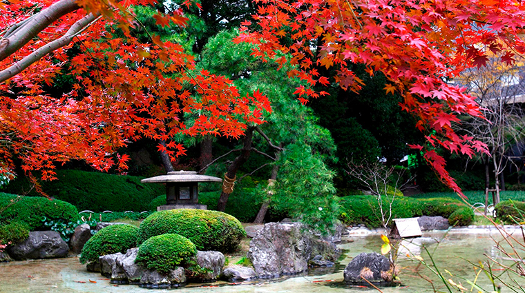 prince sakura tower tokyo japanese garden autumn