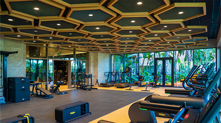 regnum carya beehive fitness center