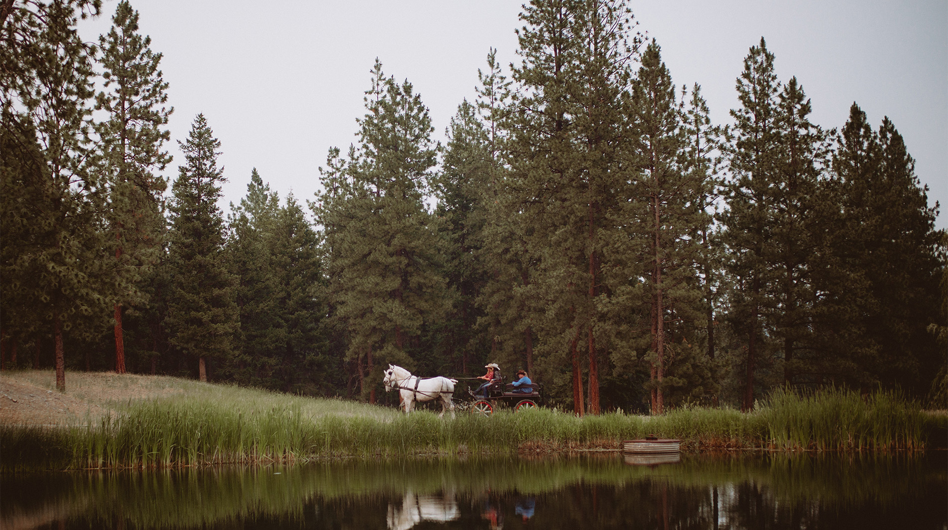 Montana Riverview Campground: Where the Wild Things Are (and So Are You!)