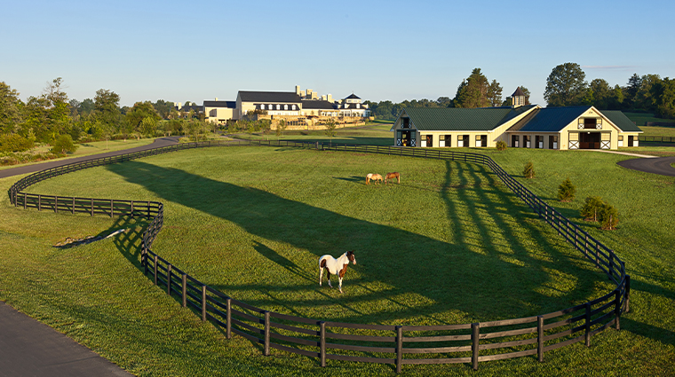 salamander middleburg equestrian stable and field