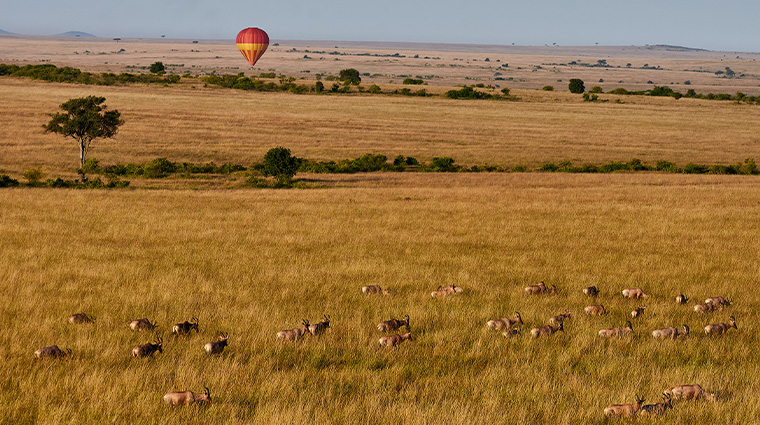 salas camp baloon ride