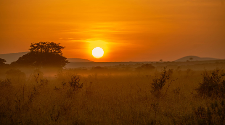 salas camp mara sunsets