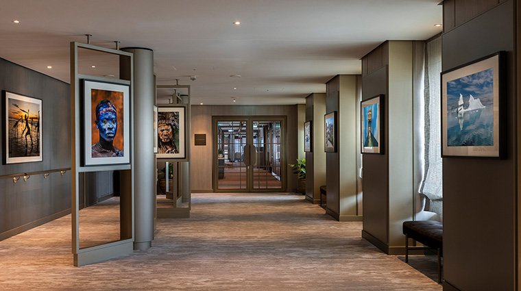 silver ray exhibition