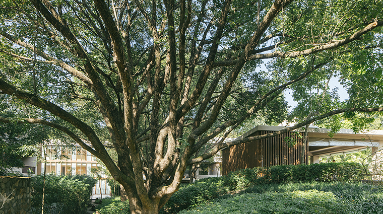 six senses vana temple garden