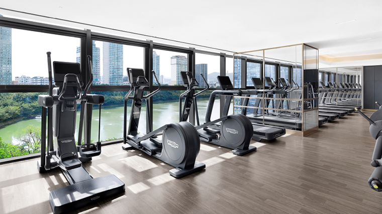 sofitel ambassador seoul hotel and services residences fitness