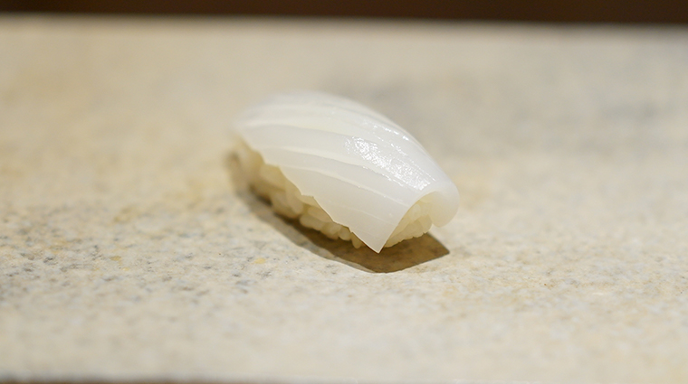 sushi saito squid nigrini