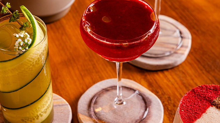 terra by jeremy ford cocktails