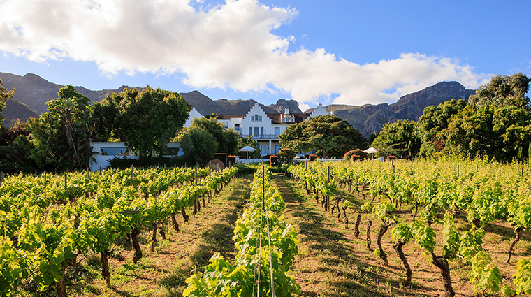 the cellars hohenort location