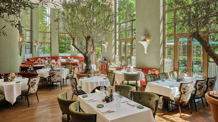 the charles hotel a rocco forte hotel dining trees