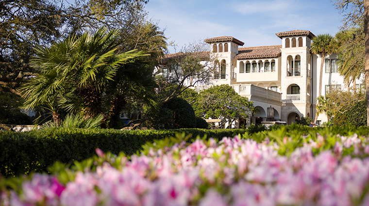 the cloister azaleas flowers