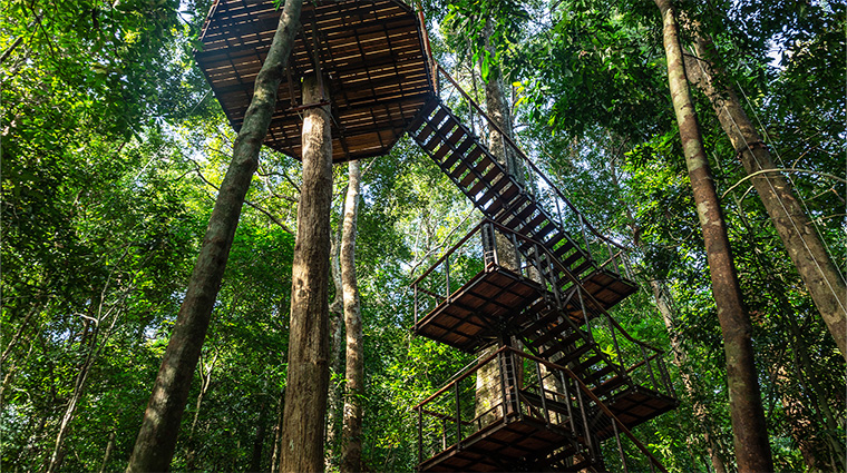 the datai langkawi canopy walk