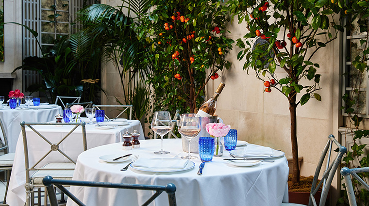 the lowell majorelle garden