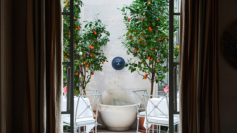 the lowell majorelle garden2