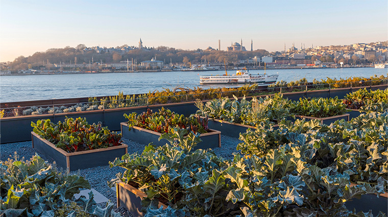 the peninsula istanbul herb garden