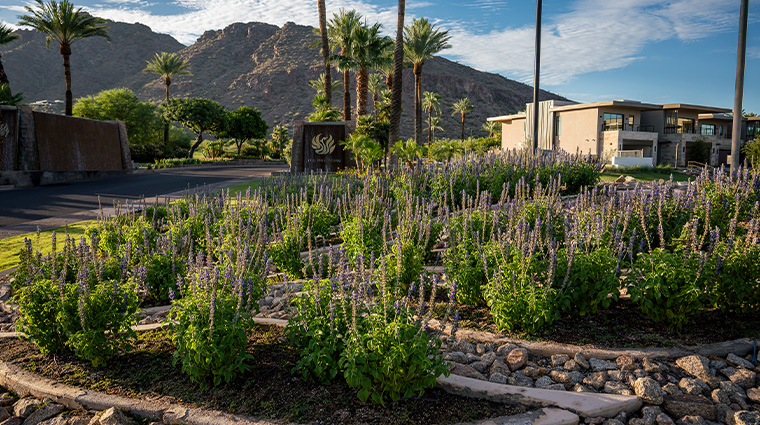 the phoenician a luxury collection resort