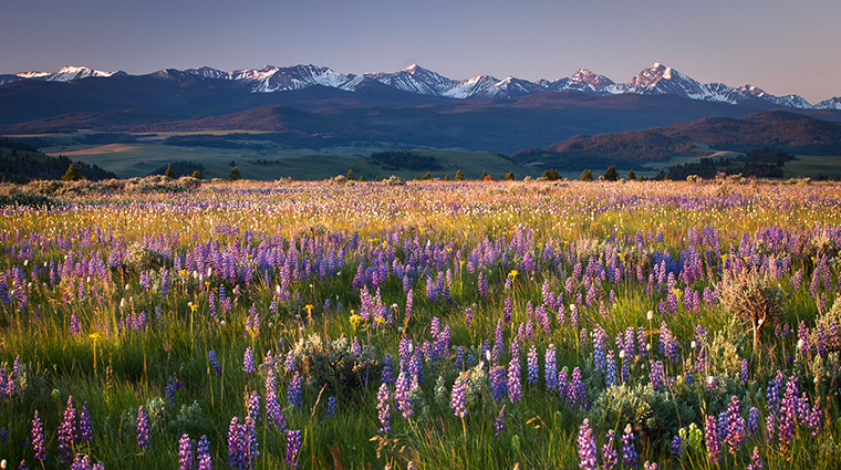 the ranch at rock creek pintler mountain range