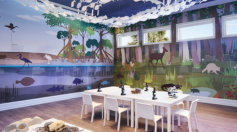 the ritz carlton amelia island kids nature center