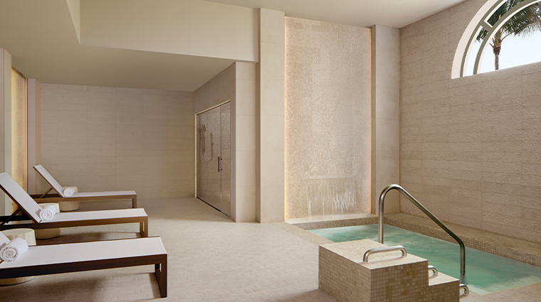 the ritz carlton key biscayne miami wet room