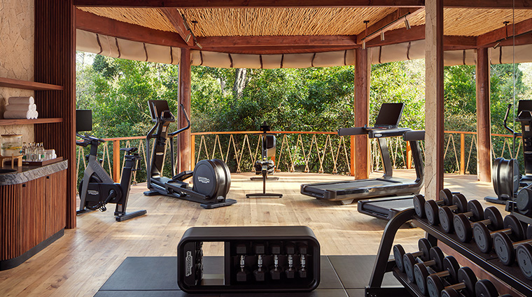the ritz carlton masai mara safari camp gym