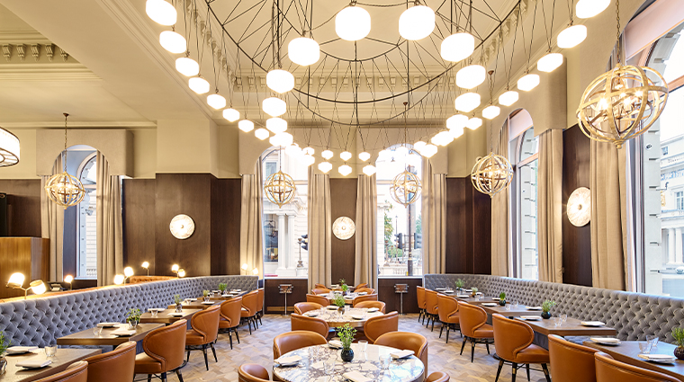 the sofitel london st james bistrot wild honey interior