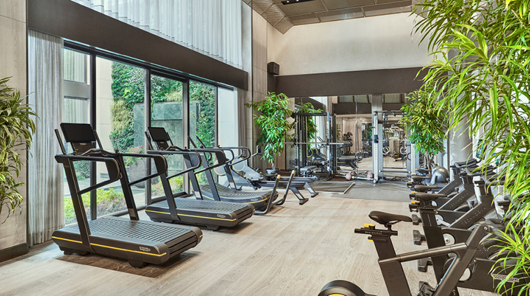 the spa at mandarin oriental bosphorus istanbul gym