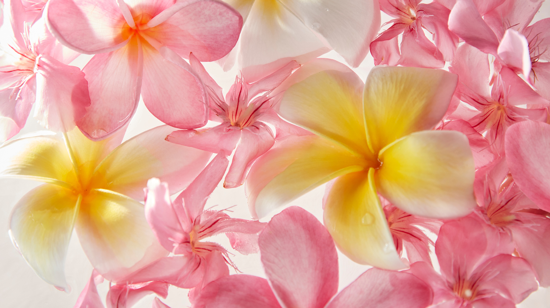 The Spa at Mandarin Oriental, Canouan St. Vincent and the Grenadines