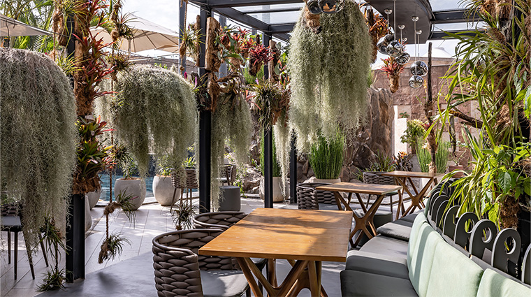 tribe hotel jiko restaurant