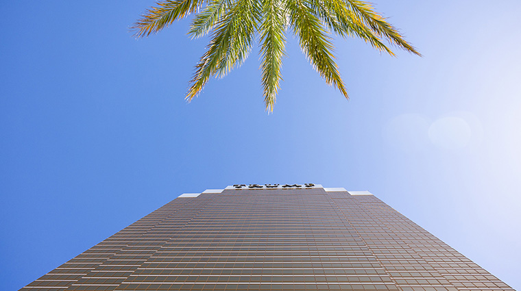 trump international hotel las vegas exterior upshot palm tree