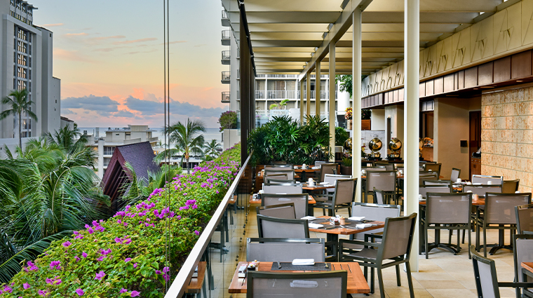 trump international hotel waikiki in yo cafe