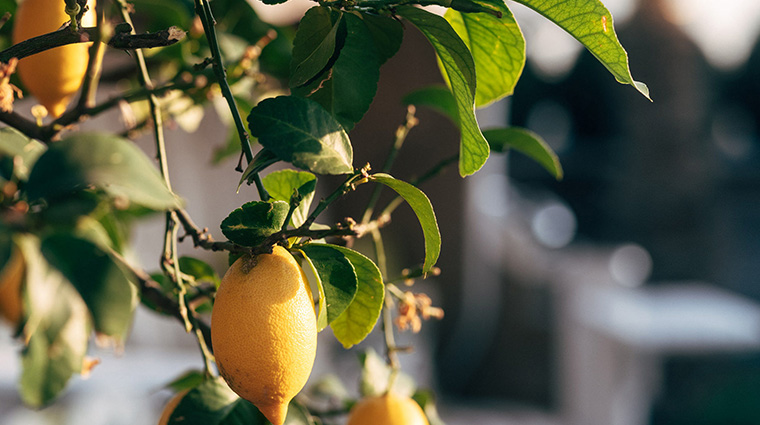 vier jahreszeiten spa fairmont hotel rooftop terrace3
