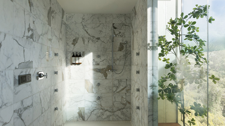 willow stream spa at fairmont pacific rim shower