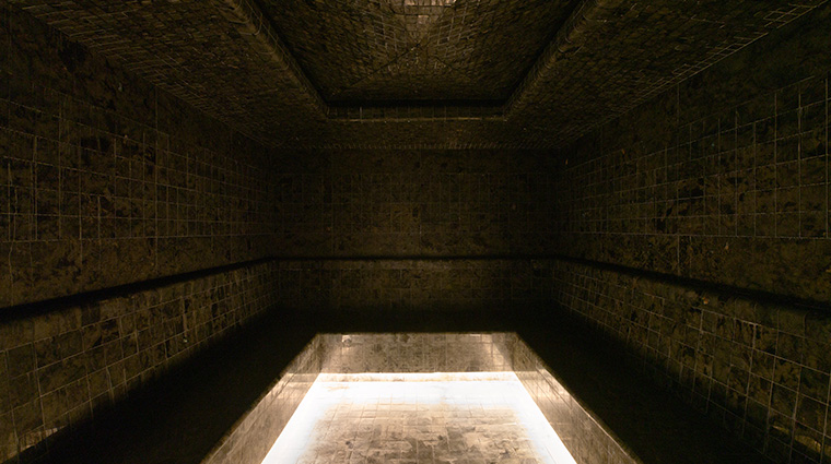willow stream spa at fairmont pacific rim steam room